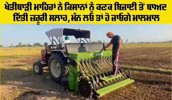 Kisan News: ਪੰਜਾਬੀ ਖੇਤੀਬਾੜੀ ਯੂਨੀਵਰਸਿਟੀ ਲੁਧਿਆਣਾ ਦੇ ਮਾਹਿਰਾਂ ਨੇ ਕਿਸਾਨਾਂ ਨੂੰ ਕਣਕ ਦੀ ਪਿਛੇਤੀ ਬਿਜਾਈ ਤੋਂ ਲਾਭ ਲੈਣ ਦੇ ਦੱਸੇ ਨੁਕਤੇ