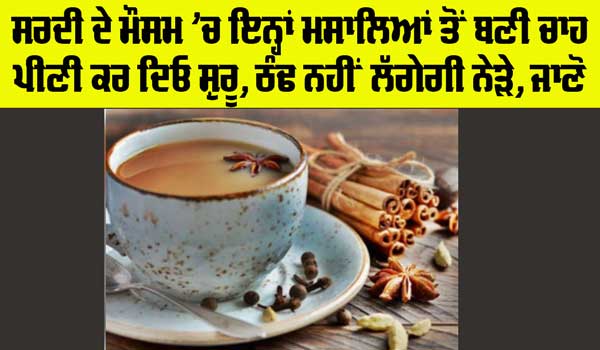 Tea Benefits: ਇਨ੍ਹਾਂ ਮਸਾਲਿਆਂ ਤੋਂ ਬਣੀ ਚਾਹ ਦੇ ਹਨ ਬਹੁਤ ਸਾਰੇ ਫਾਇਦੇ, ਜਾਣੋ ਕੇ ਹੋ ਜਾਓਗੇ ਹੈਰਾਨ