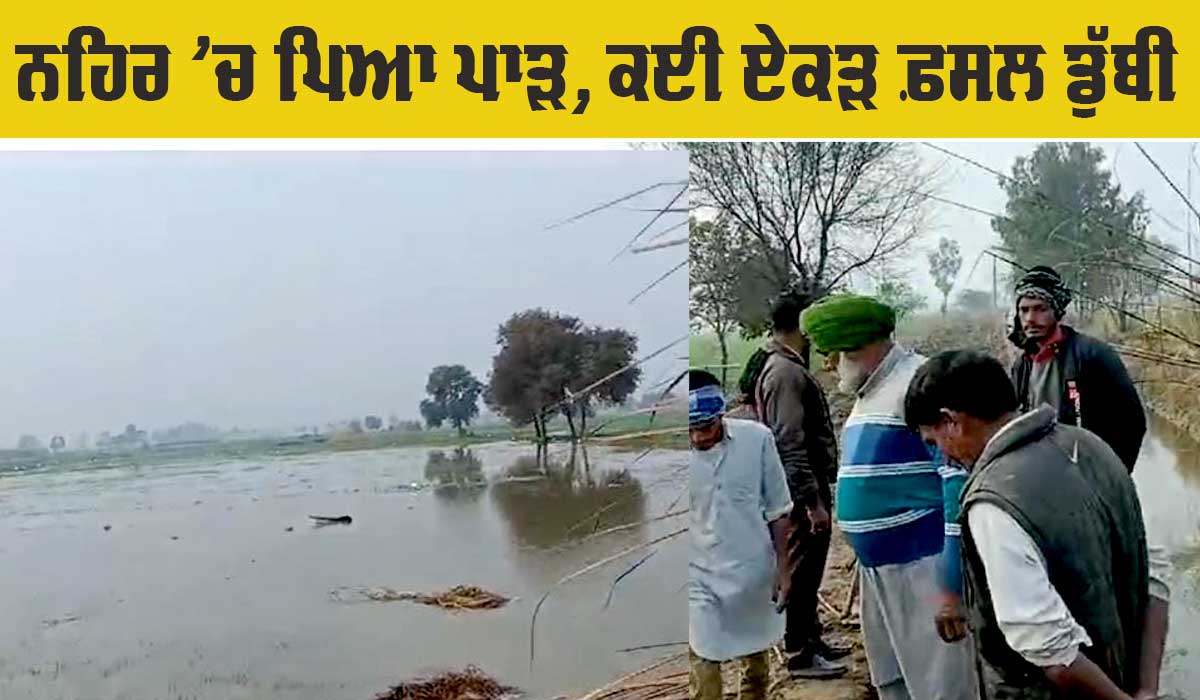 Abohar Canal: ਨਹਿਰ ’ਚ ਪਿਆ ਪਾੜ, ਕਈ ਏਕੜ ਕਣਕ ਦੀ ਫ਼ਸਲ ਡੁੱਬੀ