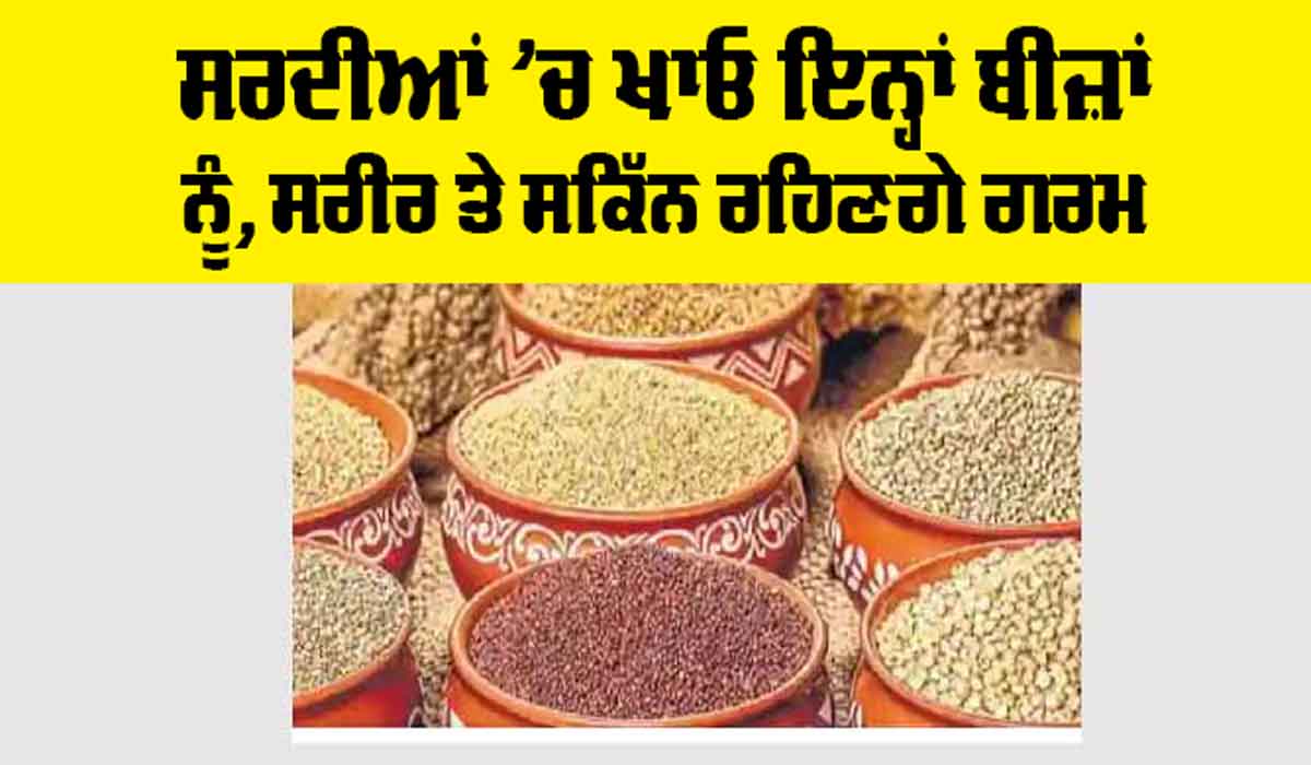 Health News: ਸਰਦੀਆਂ ’ਚ ਖਾਓ ਇਨ੍ਹਾਂ ਬੀਜ਼ਾਂ ਨੂੰ, ਸਰੀਰ ਤੇ ਸਕਿੱਨ ਰਹਿਣਗੇ ਗਰਮ