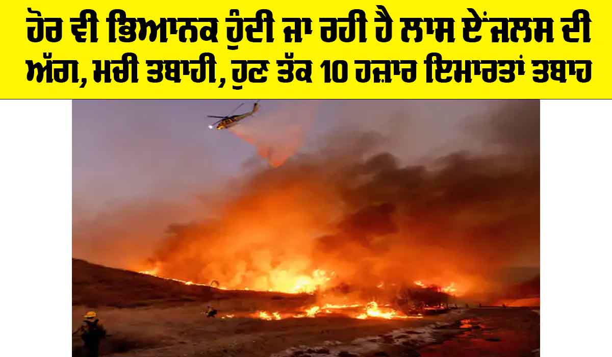 Los Angeles Fire: ਹੋਰ ਵੀ ਭਿਆਨਕ ਹੁੰਦੀ ਜਾ ਰਹੀ ਹੈ ਲਾਸ ਏਂਜਲਸ ਦੀ ਅੱਗ, ਮਚੀ ਤਬਾਹੀ, ਹੁਣ ਤੱਕ 10 ਹਜ਼ਾਰ ਇਮਾਰਤਾਂ ਤਬਾਹ