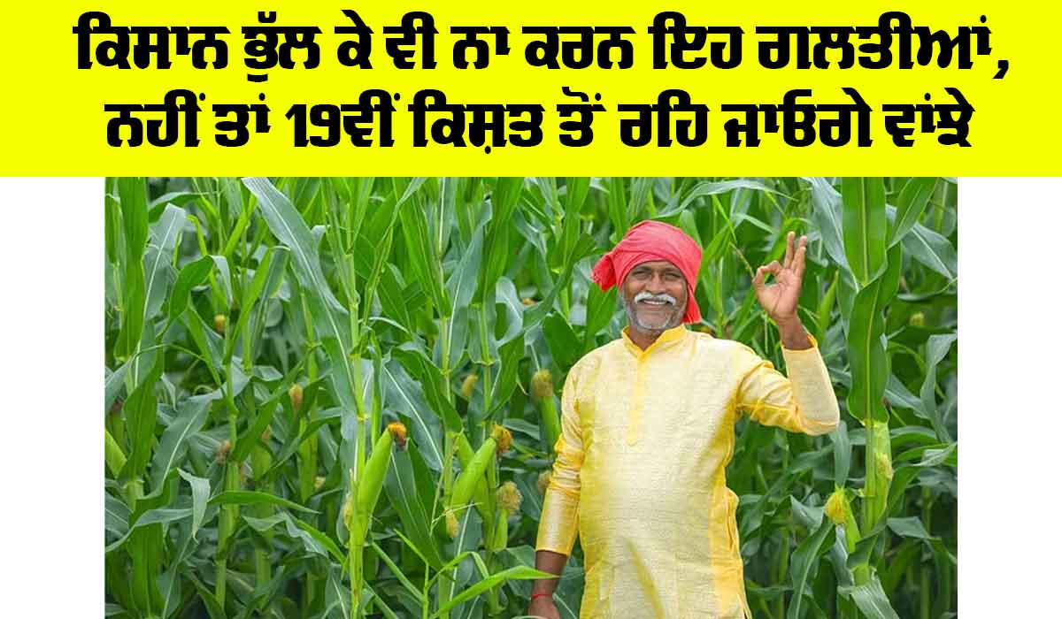 PM Kisan Nidhi 19th Kist: ਕਿਸਾਨ ਭੁੱਲ ਕੇ ਵੀ ਨਾ ਕਰਨ ਇਹ ਗਲਤੀਆਂ, ਨਹੀਂ ਤਾਂ 19ਵੀਂ ਕਿਸ਼ਤ ਤੋਂ ਰਹਿ ਜਾਓਗੇ ਵਾਂਝੇ