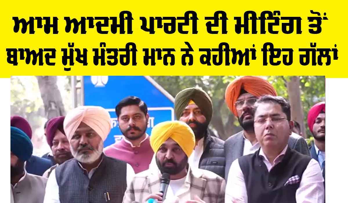 AAP Meeting: ਦਿੱਲੀ ‘ਚ ਆਪ ਦੀ ਮੀਟਿੰਗ ਸਮਾਪਤ, ਮੁੱਖ ਮੰਤਰੀ ਮਾਨ ਨੇ ਕਹੀਆਂ ਇਹ ਵੱਡੀਆਂ ਗੱਲਾਂ