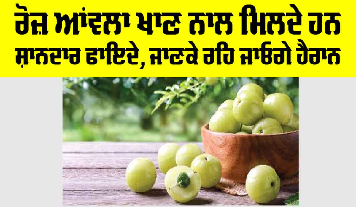 Amla Benefits: ਰੋਜ਼ ਆਂਵਲਾ ਖਾਣ ਨਾਲ ਮਿਲਦੇ ਹਨ 4 ਸ਼ਾਨਦਾਰ ਫਾਇਦੇ, ਜਾਣ ਕੇ ਰਹਿ ਜਾਓਗੇ ਹੈਰਾਨ