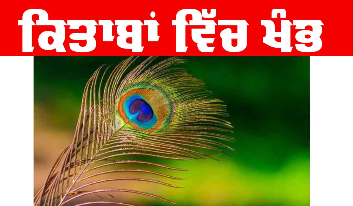 Bal Kahani: ਕਿਤਾਬਾਂ ਵਿੱਚ ਖੰਭ