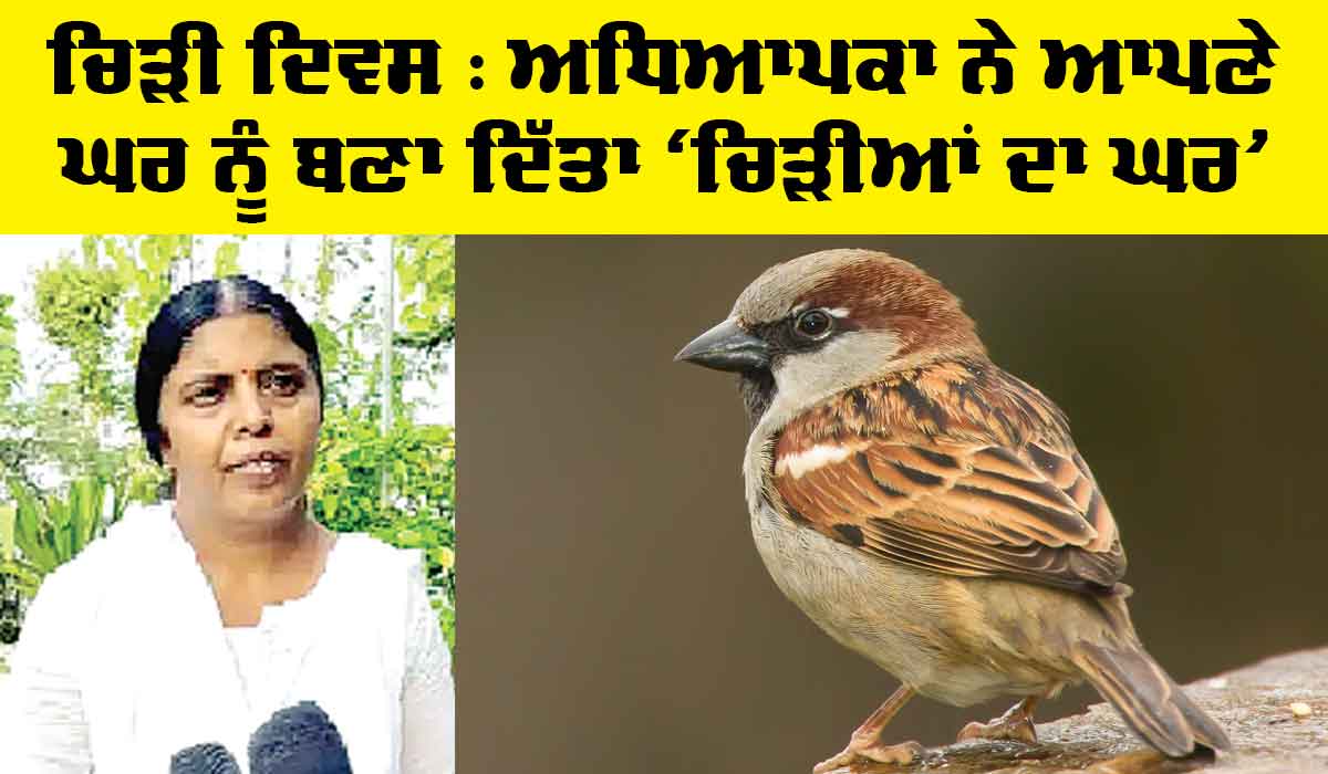 Sparrow Day: ਅਧਿਆਪਕਾ ਨੇ ਆਪਣੇ ਘਰ ਨੂੰ ਬਣਾ ਦਿੱਤਾ ‘ਚਿੜੀਆਂ ਦਾ ਘਰ’