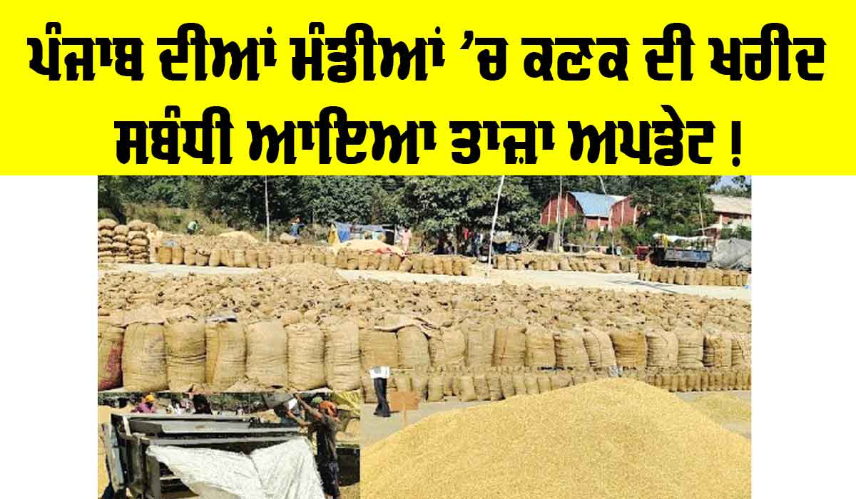 Wheat Procurement in Punjab : ਪੰਜਾਬ ਦੀਆਂ ਮੰਡੀਆਂ ’ਚ ਕਣਕ ਦੀ ਖਰੀਦ ਦਾ ਆਇਆ ਤਾਜ਼ਾ ਅਪਡੇਟ, ਪੜ੍ਹੋ ਸਰਕਾਰ ਦਾ ਬਿਆਨ