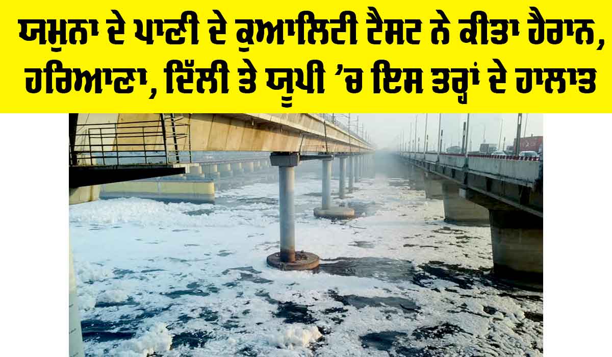 Yamuna River Pollution: ਯਮੁਨਾ ਦੇ ਪਾਣੀ ਦੇ ਕੁਆਲਿਟੀ ਟੈਸਟ ਨੇ ਕੀਤਾ ਹੈਰਾਨ, ਹਰਿਆਣਾ, ਦਿੱਲੀ ਤੇ ਯੂਪੀ ‘ਚ ਇਸ ਤਰ੍ਹਾਂ ਨੇ ਹਾਲਾਤ