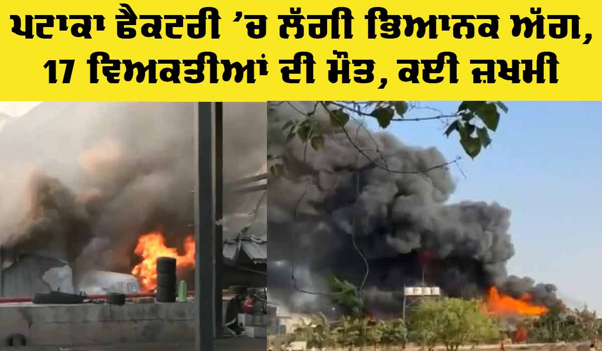 Gujarat Fire News: ਪਟਾਕਾ ਫੈਕਟਰੀ ’ਚ ਲੱਗੀ ਭਿਆਨਕ ਅੱਗ, 17 ਲੋਕਾਂ ਦੀ ਮੌਤ, ਕਈ ਜ਼ਖਮੀ