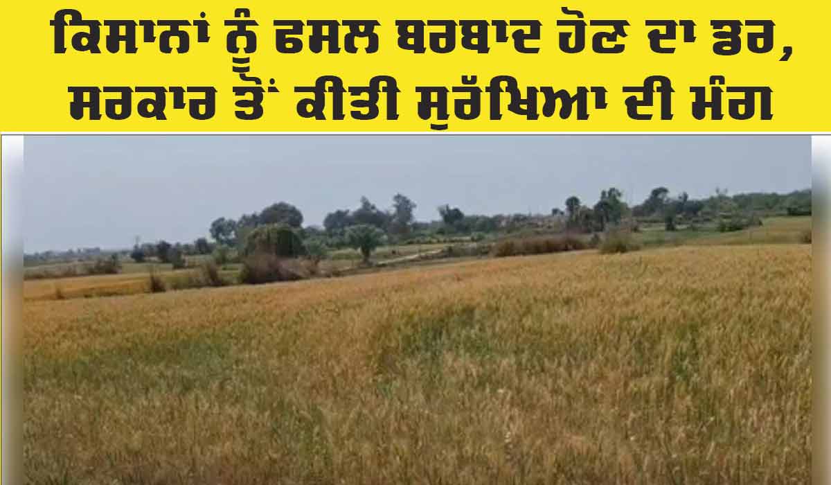 LoC: ਕੰਟਰੋਲ ਰੇਖਾ ‘ਤੇ ਤਣਾਅ ਕਾਰਨ ਦਹਿਸ਼ਤ ਦਾ ਮਾਹੌਲ, ਕਿਸਾਨਾਂ ਨੂੰ ਫਸਲਾਂ ਬਰਬਾਦ ਹੋਣ ਦਾ ਡਰ