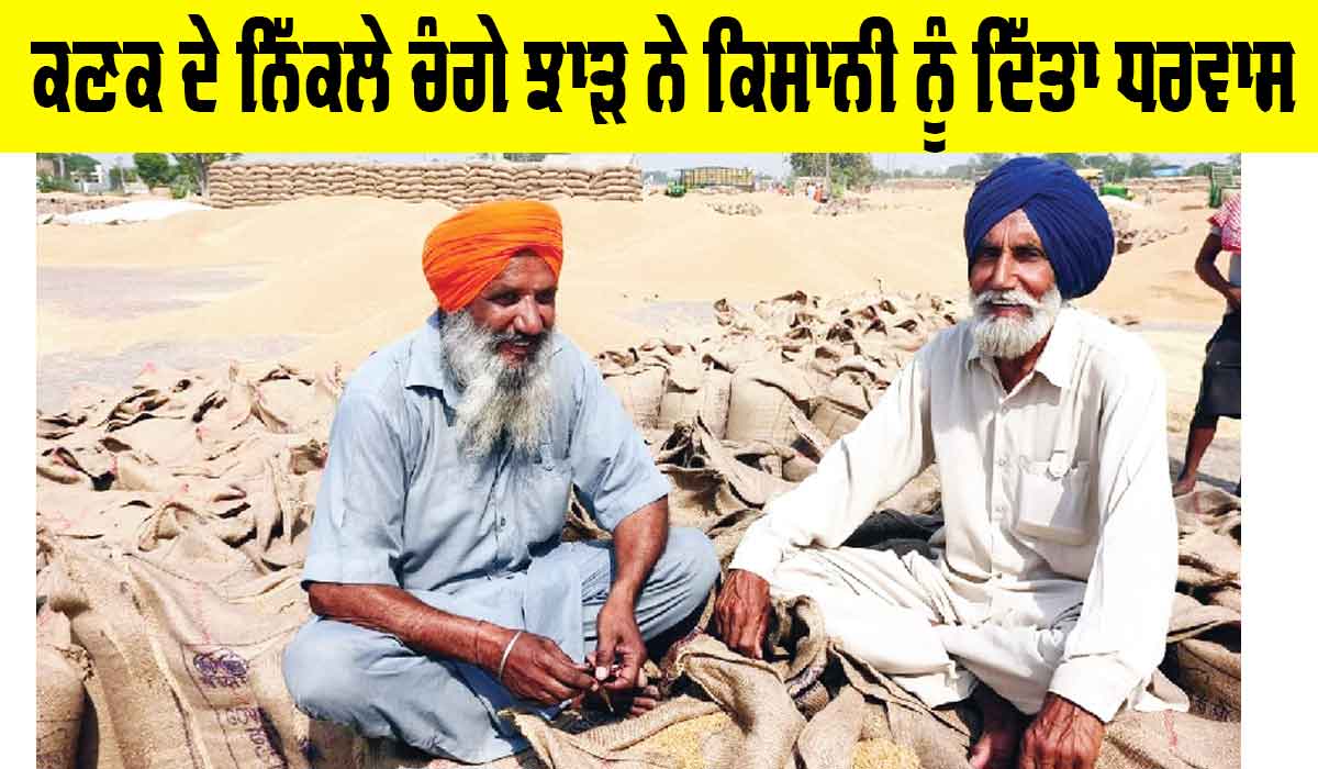 Punjab Farmers News: ਕਣਕ ਦੇ ਨਿੱਕਲੇ ਚੰਗੇ ਝਾੜ ਨੇ ਕਿਸਾਨੀ ਨੂੰ ਦਿੱਤਾ ਧਰਵਾਸ