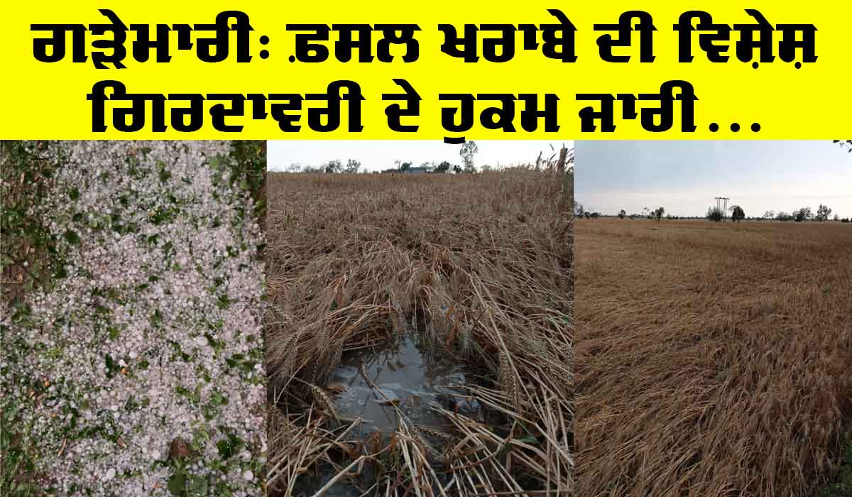 Punjab Government Orders: ਗੜੇਮਾਰੀ ਨਾਲ ਹੋਏ ਨੁਕਸਾਨ ਦੇ ਜਾਇਜ਼ੇ ਲਈ ਵਿਸ਼ੇਸ਼ ਗਿਰਦਾਵਰੀ ਦੇ ਹੁਕਮ