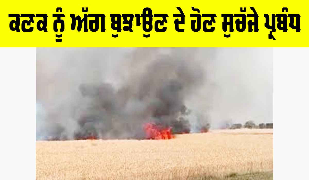 Wheat Fire: ਕਣਕ ਨੂੰ ਅੱਗ ਬੁਝਾਉਣ ਦੇ ਹੋਣ ਸੁਚੱਜੇ ਪ੍ਰਬੰਧ