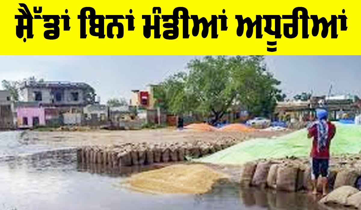 Wheat Procurement Process: ਸ਼ੈੱਡਾਂ ਬਿਨਾਂ ਮੰਡੀਆਂ ਅਧੂਰੀਆਂ