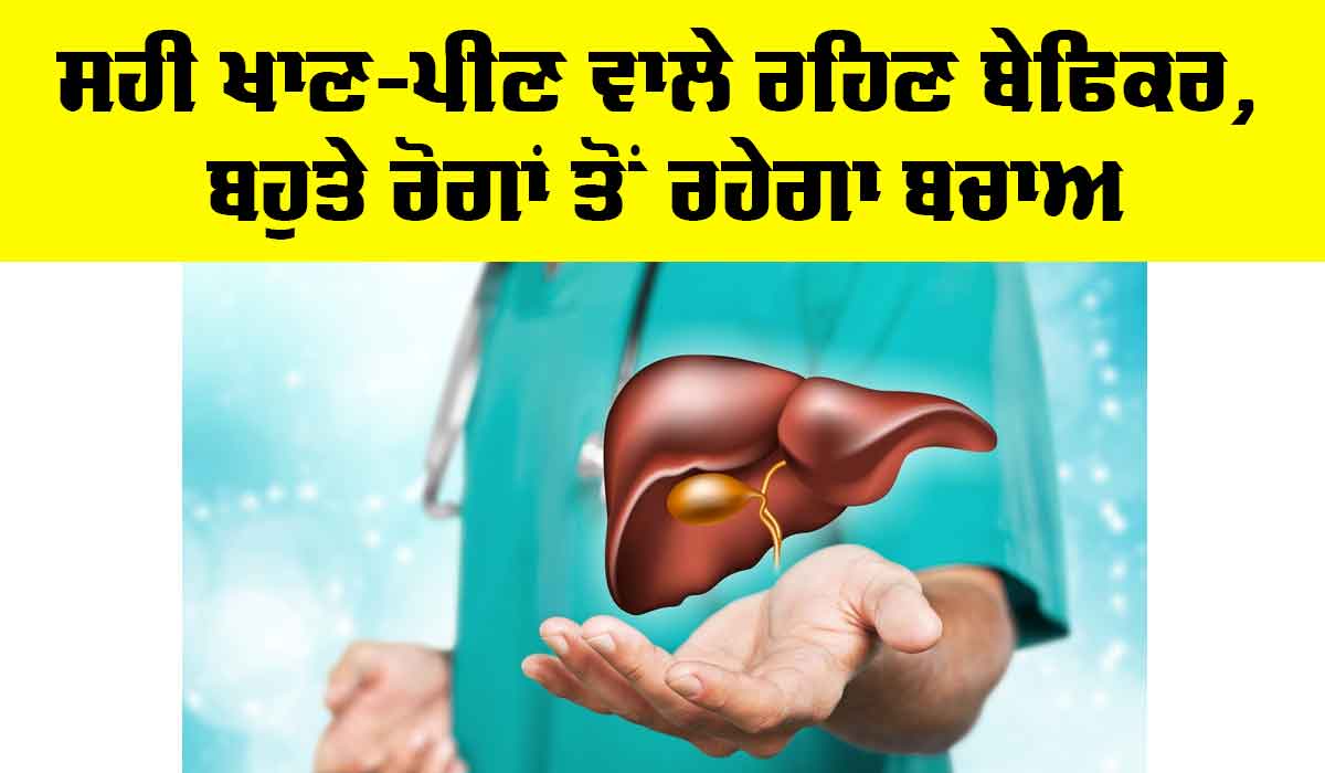World Liver Day ’ਤੇ ਵਿਸ਼ੇਸ਼: ਪ੍ਰੋਸੈਸਡ ਭੋਜਨ ਨਾਲ 16 ਫੀਸਦੀ ਤੱਕ ਵਧਦਾ ਹੈ ਲੀਵਰ ਰੋਗ ਦਾ ਖਤਰਾ