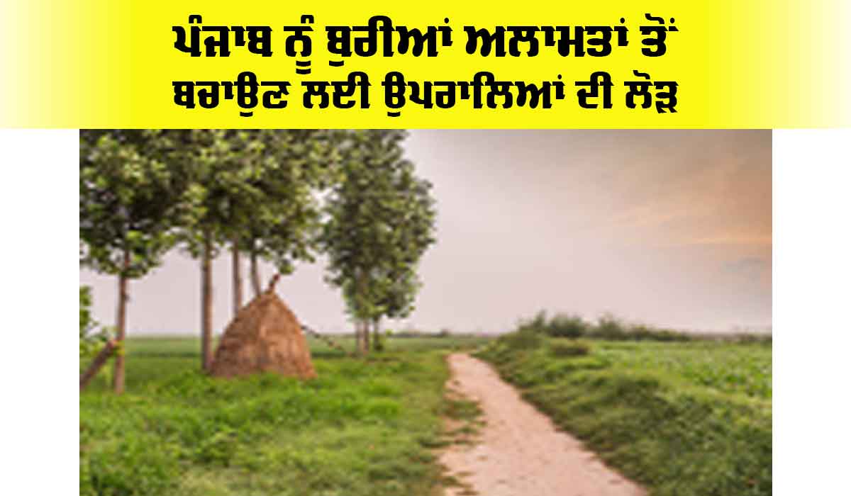 Punjab: ਪੰਜਾਬ ਨੂੰ ਬੁਰੀਆਂ ਅਲਾਮਤਾਂ ਤੋਂ ਬਚਾਉਣ ਲਈ ਉਪਰਾਲਿਆਂ ਦੀ ਲੋੜ