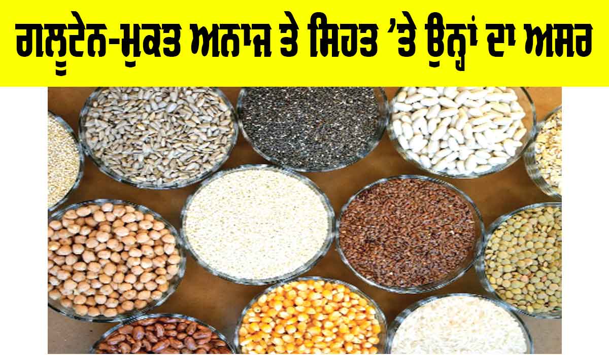 Gluten Free Grains: ਗਲੂਟੇਨ-ਮੁਕਤ ਅਨਾਜ ਤੇ ਸਿਹਤ ’ਤੇ ਉਨ੍ਹਾਂ ਦਾ ਅਸਰ