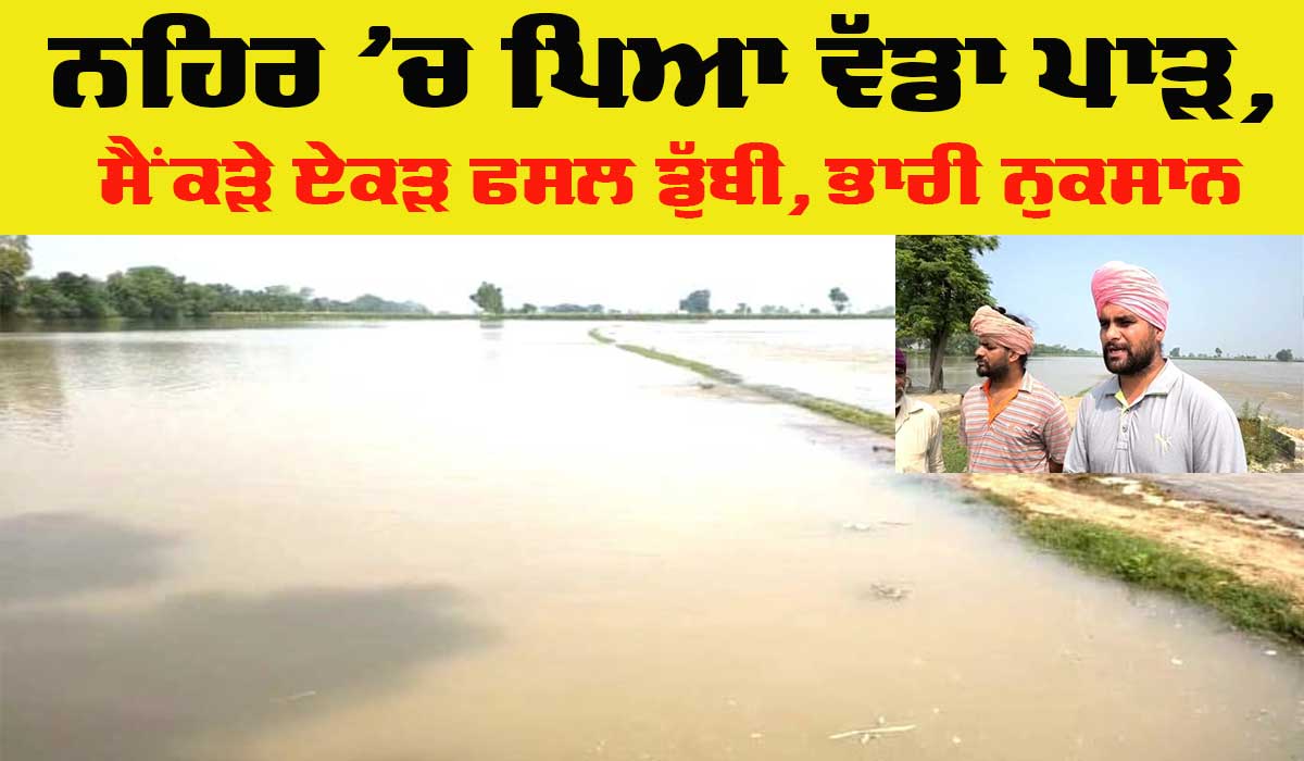 Punjab Canal Break News: ਇਸ ਪਿੰਡ ਕੋਲ ਟੁੱਟੀ ਨਹਿਰ, ਸੈਂਕੜੇ ਏਕੜ ਫਸਲ ਪਾਣੀ ‘ਚ ਡੁੱਬੀ
