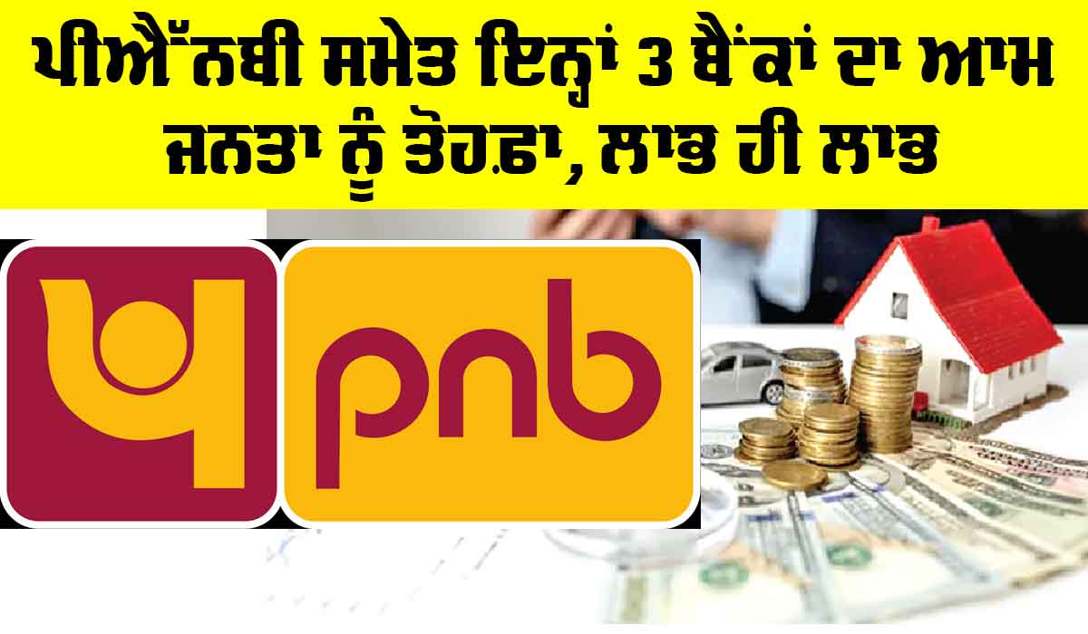 PNB Bank Account: ਪੀਐੱਨਬੀ ਸਮੇਤ ਇਨ੍ਹਾਂ 3 ਬੈਂਕਾਂ ਦਾ ਆਮ ਜਨਤਾ ਨੂੰ ਤੋਹਫ਼ਾ, ਲਾਭ ਹੀ ਲਾਭ