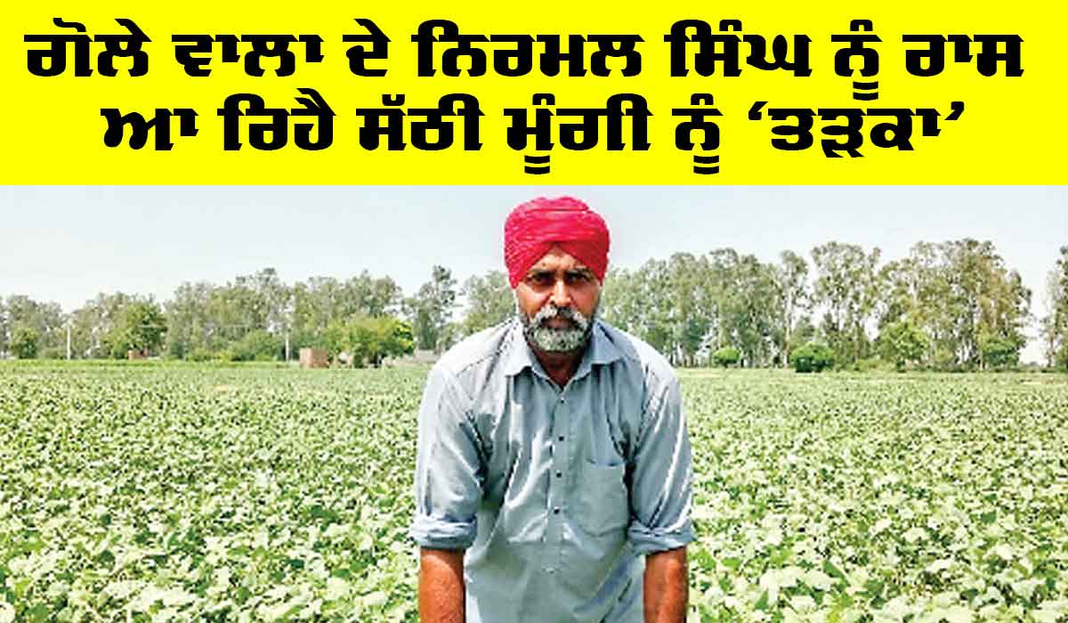 Punjab Farmer News: ਗੋਲੇ ਵਾਲਾ ਦੇ ਨਿਰਮਲ ਸਿੰਘ ਨੂੰ ਰਾਸ ਆ ਰਿਹੈ ਸੱਠੀ ਮੂੰਗੀ ਨੂੰ ‘ਤੜਕਾ’