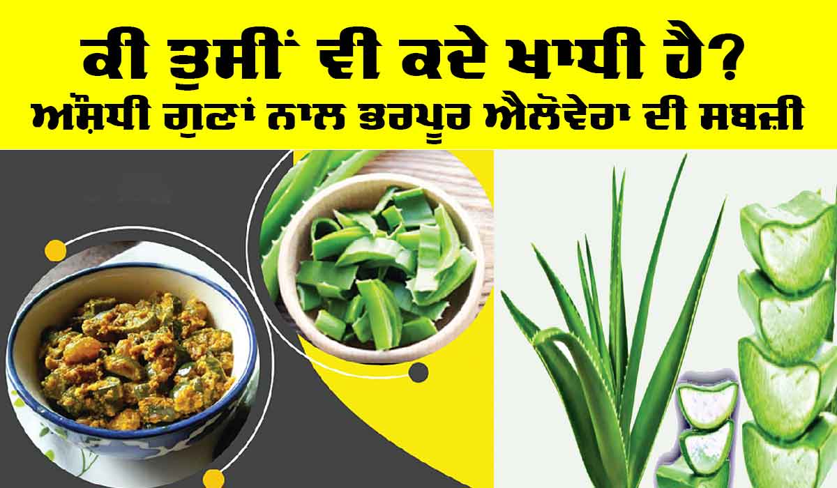 Aloe Vera Vegetable: ਕੀ ਤੁਸੀਂ ਕਦੇ ਖਾਧੀ ਹੈ? ਔਸ਼ਧੀ ਗੁਣਾਂ ਨਾਲ ਭਰਪੂਰ ਐਲੋਵੇਰਾ ਦੀ ਸਬਜ਼ੀ