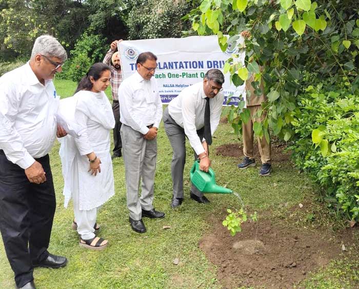 Tree Plantation Campaign: ਵਾਤਾਵਰਨ ਨੂੰ ਹਰਿਆ-ਭਰਿਆ ਬਣਾਉਣ ਲਈ ਰੁੱਖ ਲਗਾਉਣ ਦੀ ਮੁਹਿੰਮ ਦਾ ਵਿਸਥਾਰ : ਅਰੁਣ ਗੁਪਤਾ