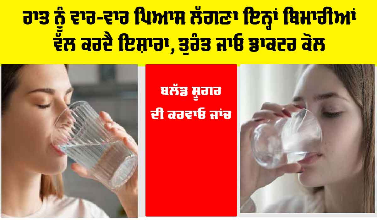 Health Tips: ਰਾਤ ਨੂੰ ਵਾਰ-ਵਾਰ ਪਿਆਸ ਲੱਗਣਾ, ਕੀ ਇਹ ਕਿਸੇ ਗੰਭੀਰ ਬਿਮਾਰੀ ਦੇ ਸੰਕੇਤ ਤਾਂ ਨਹੀਂ?