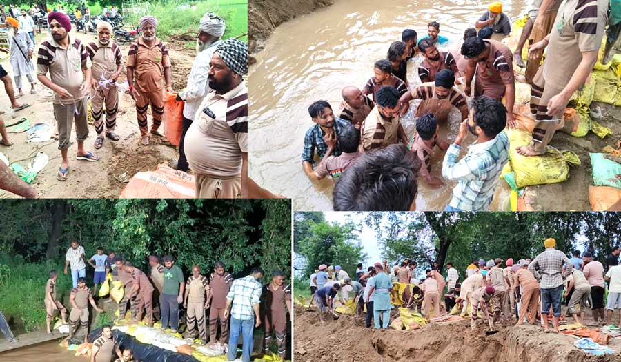 Lehragaga Canal Breach: ਲਹਿਰਾਗਾਗਾ ਦੇ ਪਿੰਡ ਲਦਾਲ ’ਚ ਪਿਆ ਲਗਭਗ 40 ਫੁੱਟ ਪਾੜ, ਡੇਰਾ ਸੱਚਾ ਸੌਦਾ ਦੇ ਸੇਵਾਦਾਰਾਂ ਨੇ ਸੰਭਾਲਿਆ ਮੋਰਚਾ