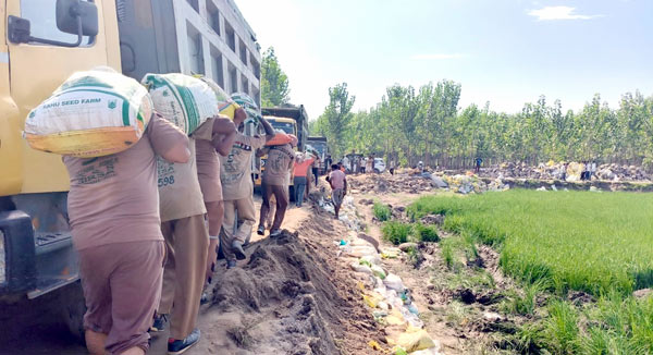 Flood Punjab News: ਪਿੰਡ ਸਸਰਾਲੀ ਲਾਗੇ ਸਤਲੁਜ ਦਾ ਬੰਨ ਖੁਰਿਆ, ਗਰੀਨ ਐਸ ਦੇ ਸੇਵਾਦਾਰ ਬੰਨ੍ਹ ਨੂੰ ਮਜ਼ਬੂਤ ਕਰਨ ’ਚ ਜੁਟੇ