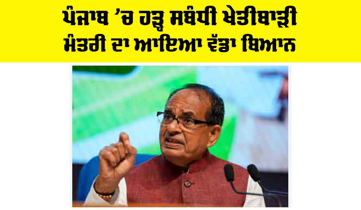 Punjab Flood: ਪੰਜਾਬ ’ਚ ਹੜ੍ਹ ਸਬੰਧੀ ਖੇਤੀਬਾੜੀ ਮੰਤਰੀ ਦਾ ਆਇਆ ਵੱਡਾ ਬਿਆਨ