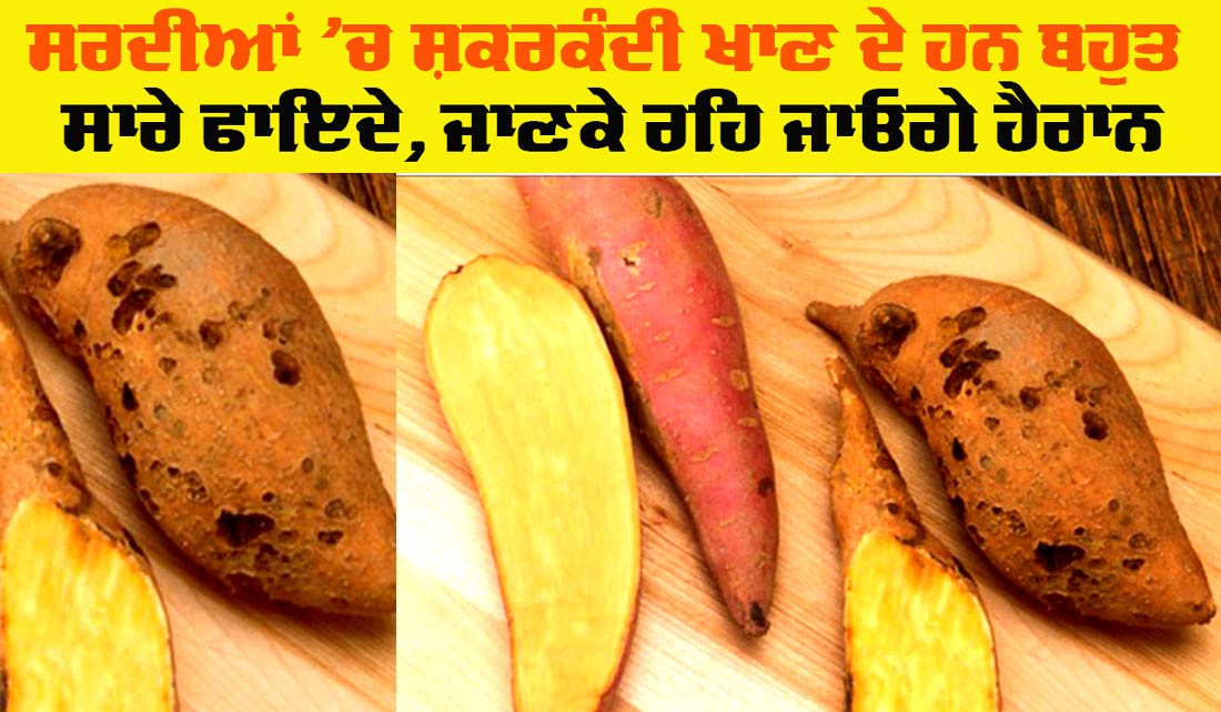 Sweet Potato Health Benefits: ਸਰਦੀਆਂ ’ਚ ਸ਼ਕਰਕੰਦੀ ਖਾਣੀ ਕਿਉਂ ਹੈ ਜ਼ਰੂਰੀ? ਜਾਣੋ ਇਸਦੇ ਸਿਹਤ ਲਾਭਾਂ ਬਾਰੇ