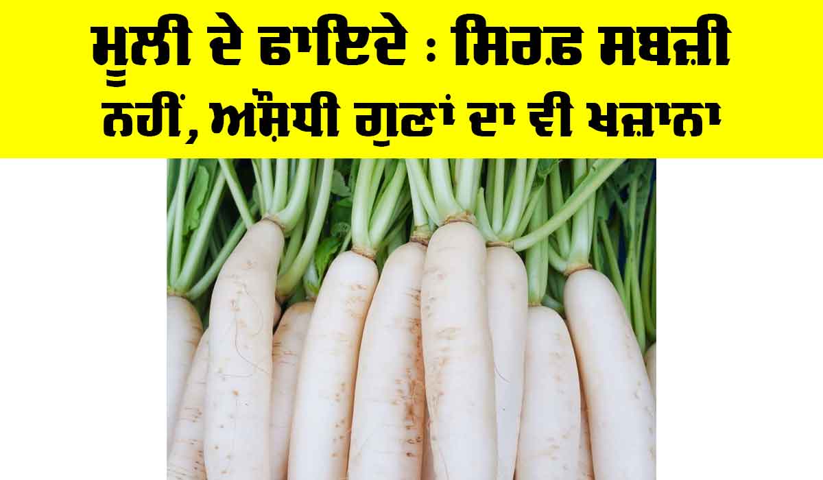 Benefits Of Radish: ਮੂਲੀ ਦੇ ਫਾਇਦੇ, ਸਿਰਫ਼ ਸਬਜ਼ੀ ਨਹੀਂ, ਔਸ਼ਧੀ ਗੁਣਾਂ ਦਾ ਵੀ ਖ਼ਜ਼ਾਨਾ