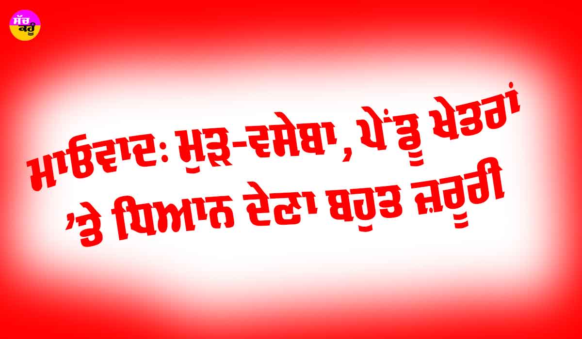 Maoism Rehabilitation: ਮਾਓਵਾਦ: ਮੁੜ-ਵਸੇਬਾ, ਪੇਂਡੂ ਖੇਤਰਾਂ ’ਤੇ ਧਿਆਨ ਦੇਣਾ ਬਹੁਤ ਜ਼ਰੂਰੀ