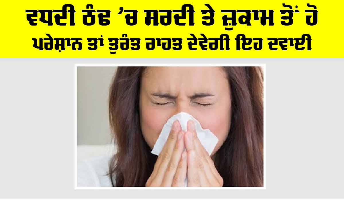Winter Cold: ਵਧਦੀ ਠੰਢ ’ਚ ਸਰਦੀ ਤੇ ਜ਼ੁਕਾਮ ਤੋਂ ਹੋ ਪਰੇਸ਼ਾਨ ਤਾਂ ਤੁਰੰਤ ਰਾਹਤ ਦੇਵੇਗੀ ਇਹ ਦਵਾਈ