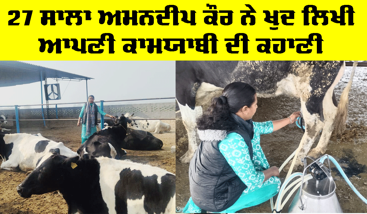 Success Story: 27 ਸਾਲਾ ਅਮਨਦੀਪ ਕੌਰ ਨੇ ਖੁਦ ਲਿਖੀ ਆਪਣੀ ਕਾਮਯਾਬੀ ਦੀ ਕਹਾਣੀ