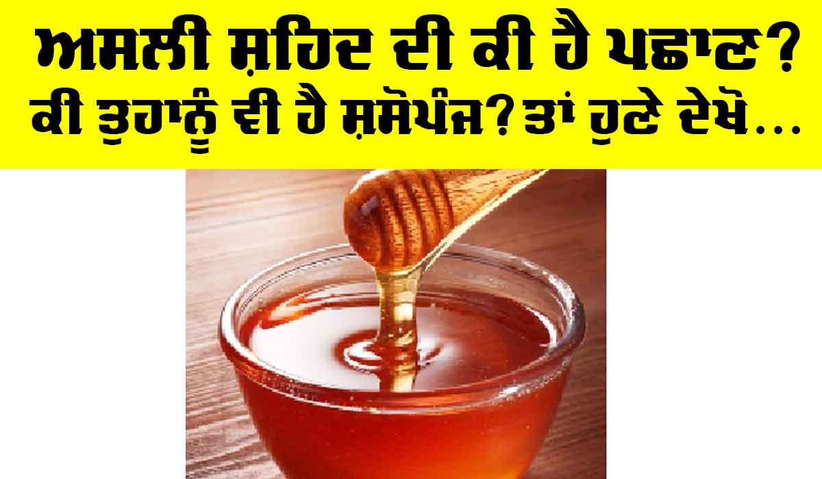 Raw Honey : ਅਸਲੀ ਸ਼ਹਿਦ ਦੀ ਕੀ ਹੈ ਪਛਾਣ? ਕੀ ਤੁਹਾਡਾ ਵੀ ਹੈ ਇਹੀ ਸਵਾਲ? ਤਾਂ ਜ਼ਰੂਰ ਪੜ੍ਹੋ ਪੂਰੀ ਖਬਰ