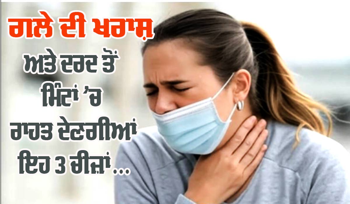 Home Remedies: ਗਲੇ ਦੀ ਖਰਾਸ਼ ਅਤੇ ਦਰਦ ਤੋਂ ਮਿੰਟਾਂ ’ਚ ਰਾਹਤ ਦੇਣਗੀਆਂ ਇਹ ਤਿੰਨ ਚੀਜ਼ਾਂ, ਸਰਦੀਆਂ ’ਚ ਇਸ ਤਰ੍ਹਾਂ ਕਰੋ ਵਰਤੋਂ