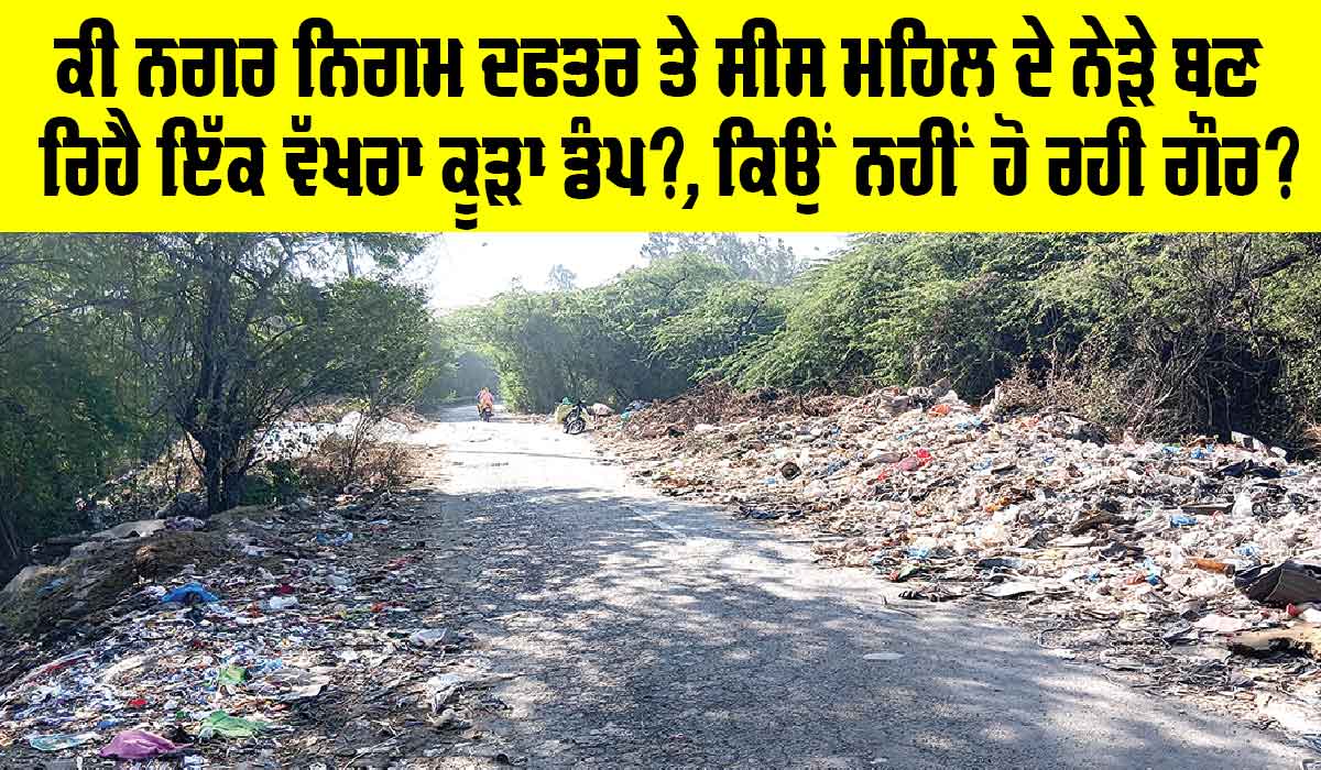 Patiala News: ਕੀ ਨਗਰ ਨਿਗਮ ਦਫਤਰ ਤੇੇ ਸੀਸ ਮਹਿਲ ਦੇ ਨੇੜੇ ਬਣ ਰਿਹੈ ਇੱਕ ਵੱਖਰਾ ਕੂੜਾ ਡੰਪ?, ਕਿਉਂ ਨਹੀਂ ਹੋ ਰਹੀ ਗੌਰ
