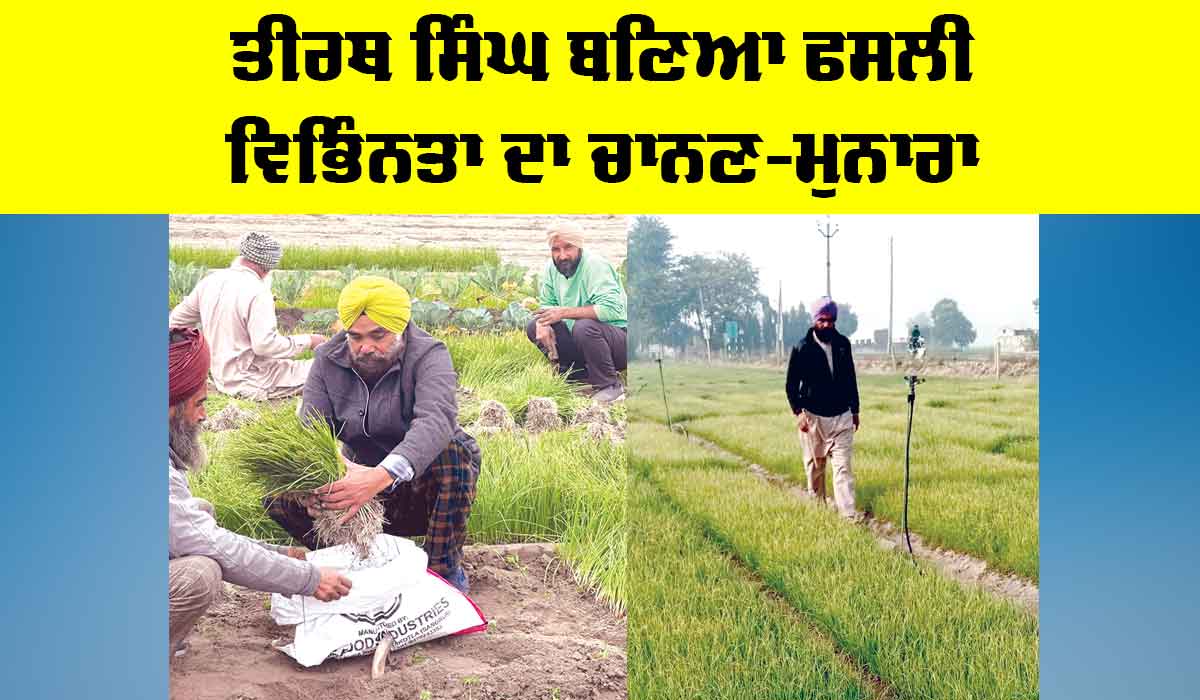 Kisan News: ਤੀਰਥ ਸਿੰਘ ਬਣਿਆ ਫਸਲੀ ਵਿਭਿੰਨਤਾ ਦਾ ਚਾਨਣ-ਮੁਨਾਰਾ