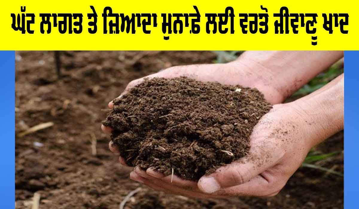 Bio Fertilizers Benefits: ਘੱਟ ਲਾਗਤ ਤੇ ਜ਼ਿਆਦਾ ਮੁਨਾਫ਼ੇ ਲਈ ਵਰਤੋ ਜੀਵਾਣੂ ਖਾਦ