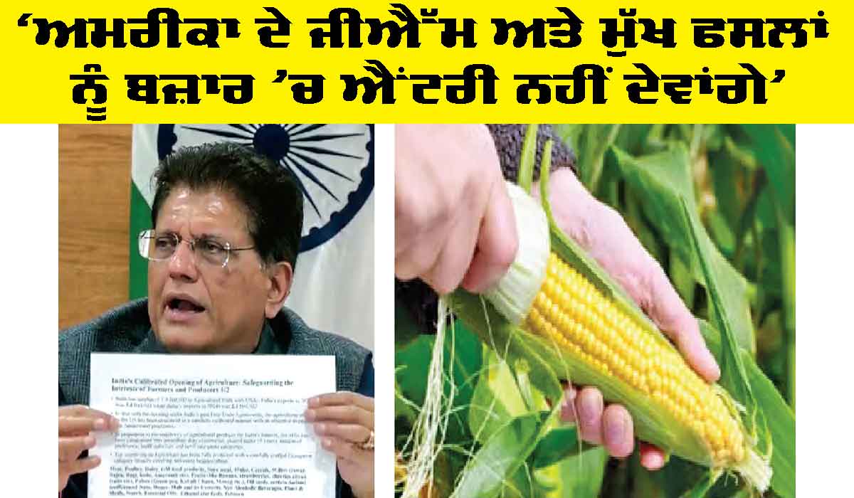 India and US: ਅਮਰੀਕਾ ਦੇ ਜੀਐੱਮ ਤੇ ਮੁੱਖ ਫਸਲਾਂ ਨੂੰ ਬਜ਼ਾਰ ’ਚ ਐਂਟਰੀ ਨਹੀਂ ਦੇਵਾਂਗੇ