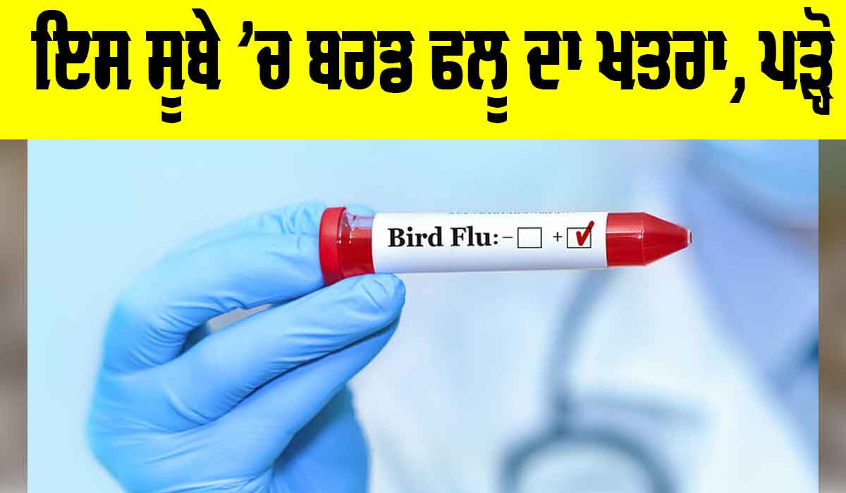 ਇਸ ਸੂਬੇ ’ਚ ਬਰਡ ਫਲੂ ਦਾ ਖਤਰਾ, ਸਰਕਾਰ ਨੇ ਵਧਾਈ ਚੌਕਸੀ