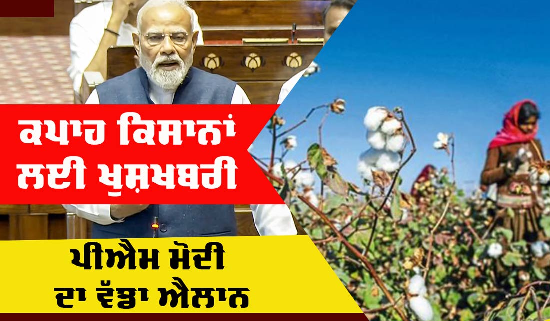 Farmers News: ਕਪਾਹ ਕਿਸਾਨਾਂ ਲਈ ਖੁਸ਼ਖਬਰੀ, ਪ੍ਰਧਾਨ ਮੰਤਰੀ ਮੋਦੀ ਨੇ ਕੀਤਾ ਵੱਡਾ ਐਲਾਨ, ਜਾਣੋ
