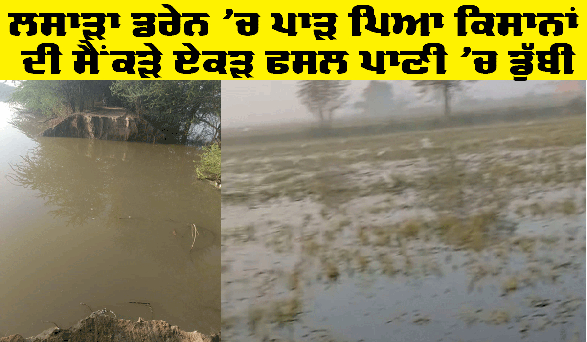Lasara Drain: ਲਸਾੜਾ ਡਰੇਨ ‘ਚ ਪਾੜ ਪਿਆ ਕਿਸਾਨਾਂ ਦੀ ਸੈਂਕੜੇ ਏਕੜ ਫਸਲ ਪਾਣੀ ‘ਚ ਡੁੱਬੀ