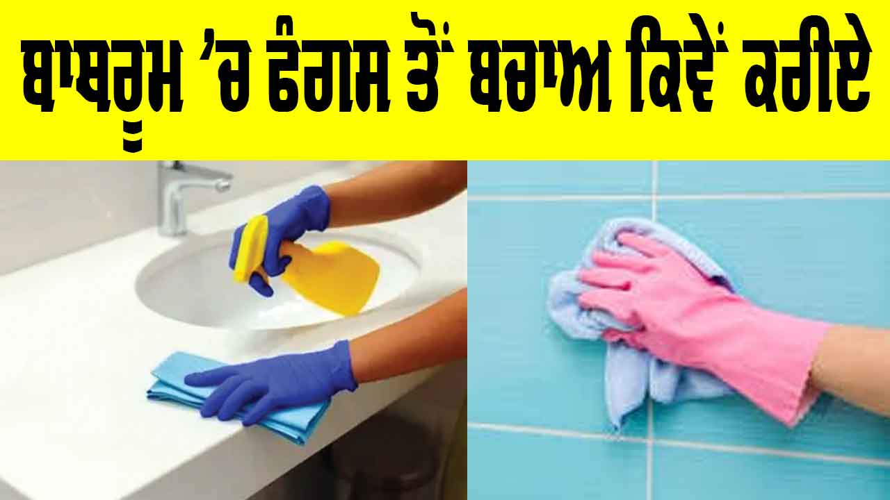 Bathroom Fungus Prevention: ਬਾਥਰੂਮ ’ਚ ਫੰਗਸ ਤੋਂ ਬਚਾਅ ਕਿਵੇਂ ਕਰੀਏ