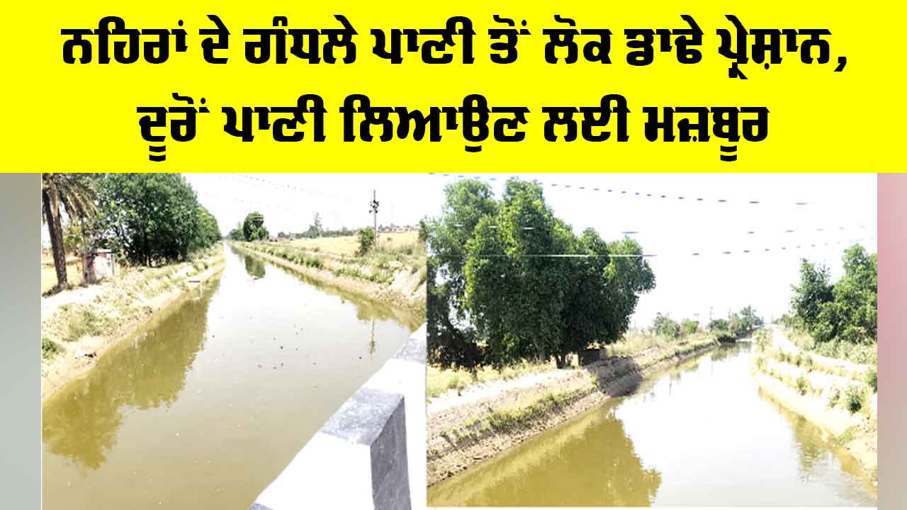Canal Water Pollution: ਨਹਿਰਾਂ ਦੇ ਗੰਧਲੇ ਪਾਣੀ ਤੋਂ ਲੋਕ ਡਾਢੇ ਪ੍ਰੇਸ਼ਾਨ, ਦੂਰੋਂ ਪਾਣੀ ਲਿਆਉਣ ਲਈ ਮਜ਼ਬੂਰ