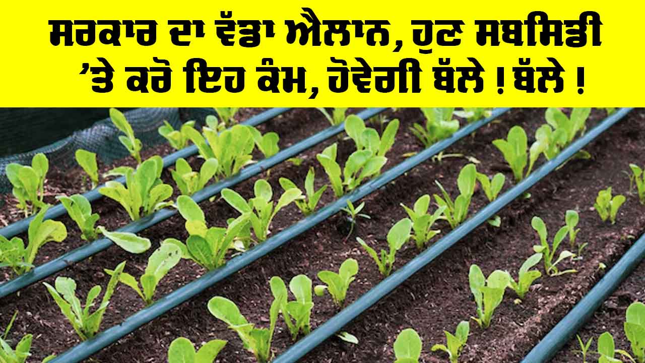 Farmer News: ਸਰਕਾਰ ਦਾ ਵੱਡਾ ਐਲਾਨ, ਹੁਣ ਸਬਸਿਡੀ ’ਤੇ ਕਰੋ ਇਹ ਕੰਮ, ਹੋਵੇਗੀ ਬੱਲੇ! ਬੱਲੇ!