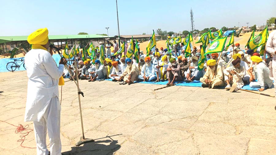 Farmers Protest Mandi: ਕਣਕ ਦੀ ਖਰੀਦ ਨਾ ਹੋਣ ਕਰਕੇ ਕਿਸਾਨਾਂ ਨੇ ਦਿੱਤਾ ਰੋਸ ਵਜੋਂ ਧਰਨਾ