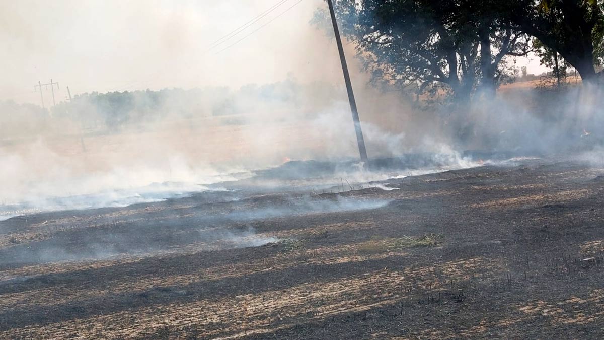 Badshahpur News: ਬਾਦਸ਼ਾਹਪੁਰ 'ਚ ਭਿਆਨਕ ਅੱਗ ਨੇ ਮਚਾਈ ਤਬਾਹੀ, 12 ਟਰਾਲੀਆਂ ਤੂੜੀ ਸੜ ਕੇ ਹੋਈ ਸੁਆਹ