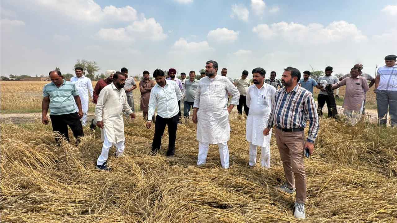 Fazilka News: ਵਿਧਾਇਕ ਜਗਦੀਪ ਕੰਬੋਜ ਗੋਲਡੀ ਵੱਲੋਂ ਮੀਂਹ ਤੇ ਗੜੇਮਾਰੀ ਕਾਰਨ ਅਰਨੀਵਾਲਾ ਬਲਾਕ ਦੇ ਪਿੰਡਾਂ ਦਾ ਦੌਰਾ